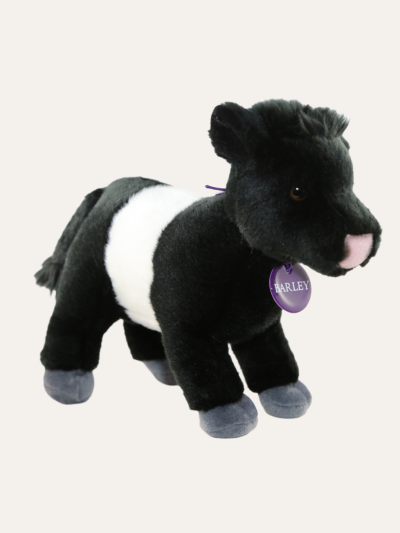 Barley The Beltie Soft Toy